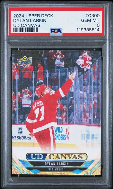 2024 UPPER DECK UD CANVAS #C300 DYLAN LARKIN