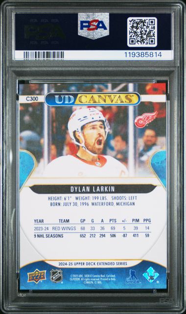 2024 UPPER DECK UD CANVAS #C300 DYLAN LARKIN